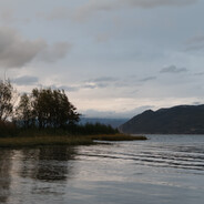 Kiteˏ₍•ɞ•₎ˎ