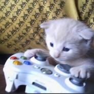 熠只猫^𝖄𝖈𝖎𝖗𝖞