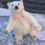 Yawnn's avatar