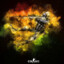 Cpt_Hossein