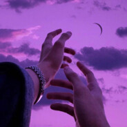 𝕊𝕌ℕ𝕊𝔼𝕋