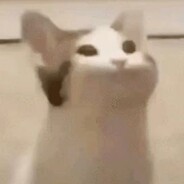 喵桑，B点的C4要爆惹