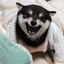 HappY