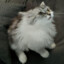maddy