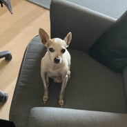 丂匚卂尺乇ⅅツ