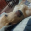 tincho180102