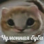 Sarcoma