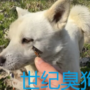 鞑靼人进村了9号