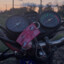 ZXC КОМАР