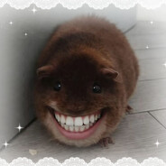 Артёмка томка том