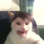 1337