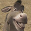 Donkey