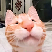 纯情蟑螂火辣辣