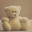 The Nice TeddyBear *********_com