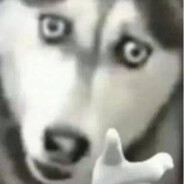 正在加载中。。。。