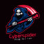 CyberSpider