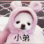 BB