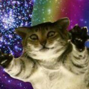 Space Cats avatar