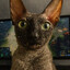 Avatar of player БОСС ТИКТОКА