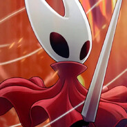 hollow knight