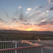 拉登是我干掉的