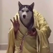 哈佛