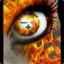 Steelers Rule