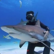 Friendly Shark Hugger <3