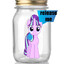 Kars starlight jar