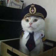 CaP.CaT