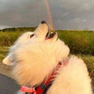 你猜我有没有问题