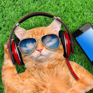 Тимоха сардельки