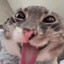 I ate lunch