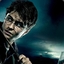 x Potter