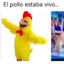 El pollo estaba vivo