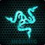 Insanic