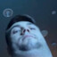 Bobik228Play/Pro's avatar