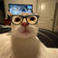 meow