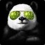 Cool_Pandas