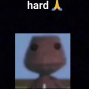 Ilovedolphins668