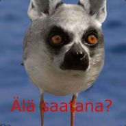 patu
