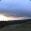 醉青沙