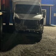 водятел газели