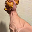 Gripper