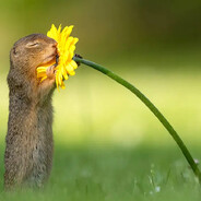 big worm - steam id 76561198045725208