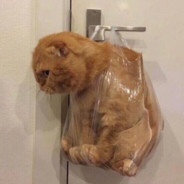 LLL