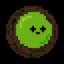 KiwiBoyo