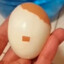 ADOLF EGGLER