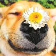 i hope god paths me - steam id 76561199217600864