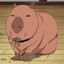 Capybara